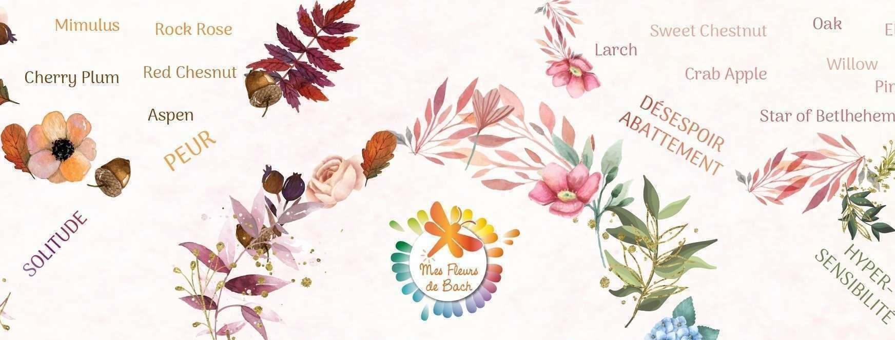 Fleurs de Bach