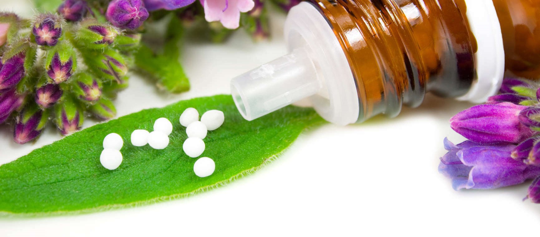 Homéopathie